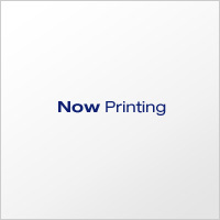 AvP[V}bg 660mmx488 mm(p)